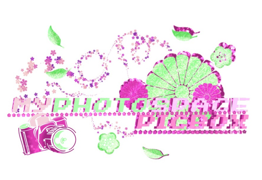 MyPhotoSpace PicBox logo
